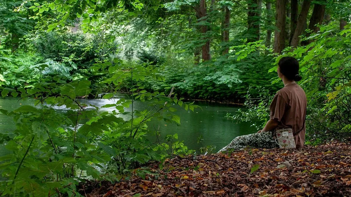 A person sitting quietly on fallen leaves beside a forest stream