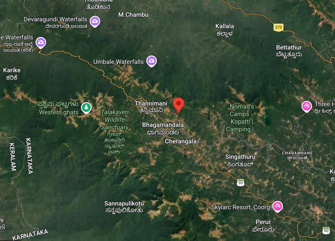 Satellite map of the Western Ghats near Thannimani and Bhagamandala in Kodagu, with the Vanvaas location marked beside the Talakaveri Wildlife Sanctuary